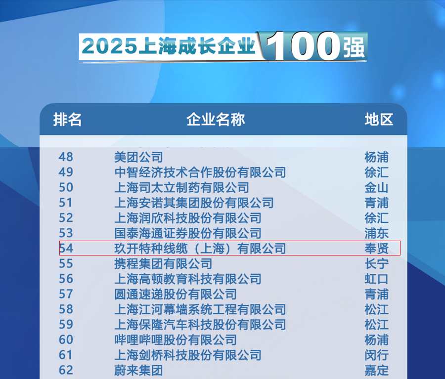 聚焦2025上海百强发布会:大陆人妻熟妇多毛A片登榜成长企业100强
