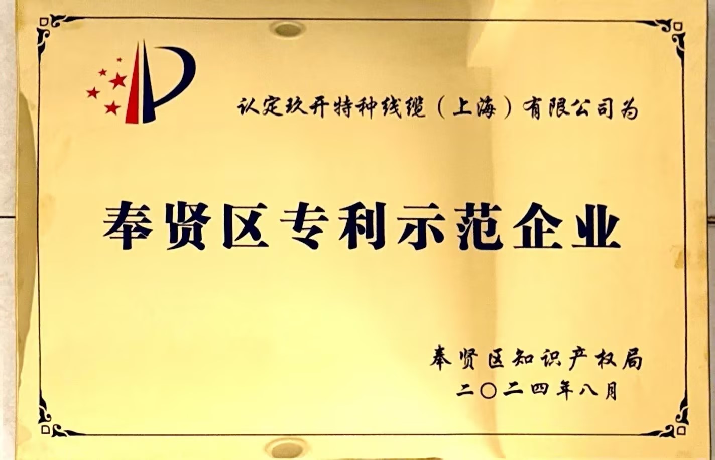 专利示范企业
